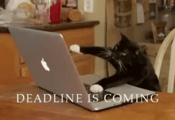 Deadline is Coming